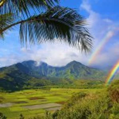 Kauai Visitors Bureau profile
