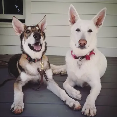 KAYA & FREINDS profile
