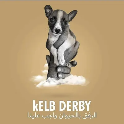 KelbDerby profile