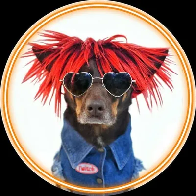 Kelpie Twitch ๐ profile