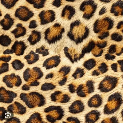 Ken Doll Jags profile