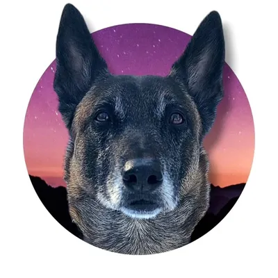 Kenna profile