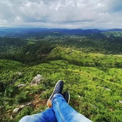 Kerala County 🥥 profile