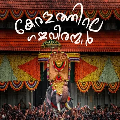 Elephants of Kerala profile