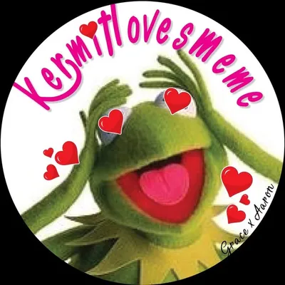 kermit loves you and meme profile