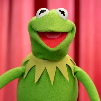 Kermit the Frog profile