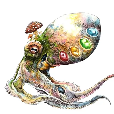 マツダケン profile