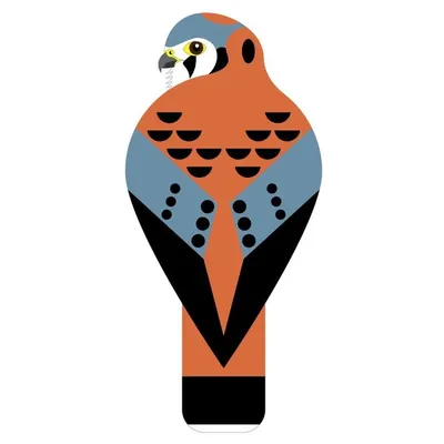 Kestrel Designs profile