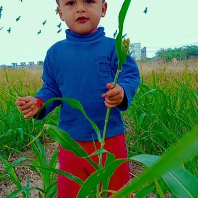 kethavath profile