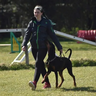 Old - New @dogtrainerfran profile