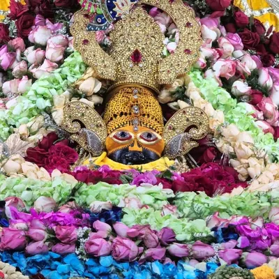 khatu shyam sewak profile
