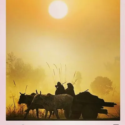 ਖੇਤੀਬਾੜੀ ਮਹਿਕਮਾ profile