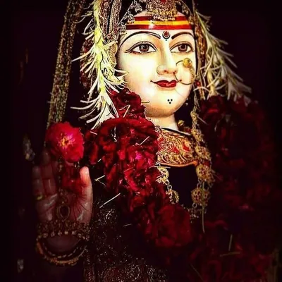 jay_ma_khodal profile