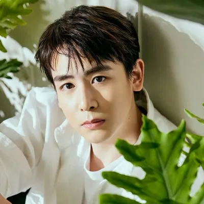 Nichkhun Horvejkul/นิชคุณ/닉쿤 profile