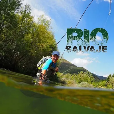 Kike Calleja ๐ง๐ผ profile