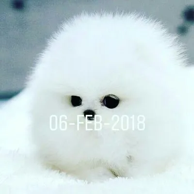angel profile
