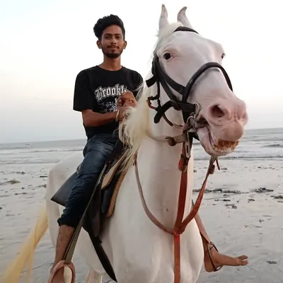 sheikh rizwan ๐ฏ profile