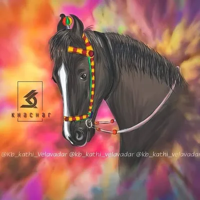 King profile