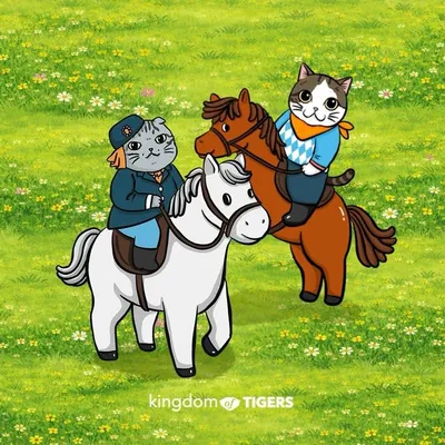 ทูนหัวของบ่าว profile