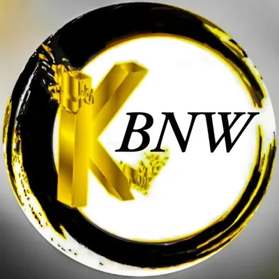 ๐ FOLLOW @KINGS_BNW ๐ ๐ฎ๐น IT profile