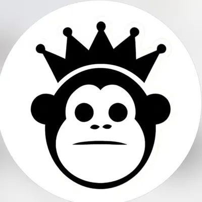 Kings Sneakers Campinas SP profile