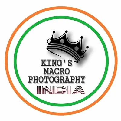 KING'S MACRO PHOTOGRAPHY profile