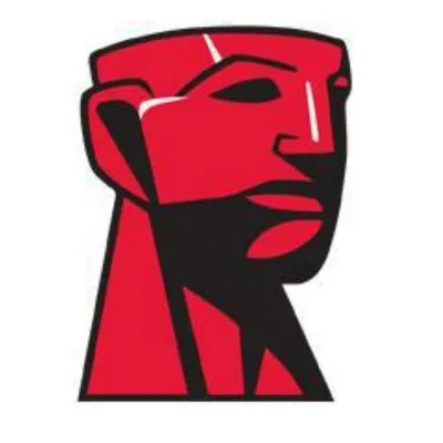 Kingston Technology profile