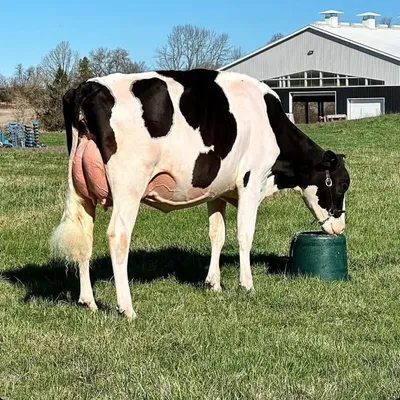 Kingsway Farms profile