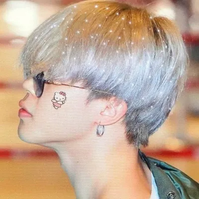 profile