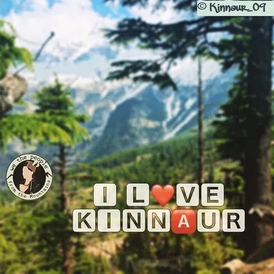 ๐ฒ KINNAURZERO 9 ๐ profile
