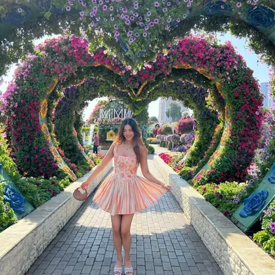 Kirti Agarwal profile