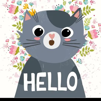 KITTENSMAJOR ๐ฝ๐ฎ ๐ข๐๐๐ค๐ง ๐บ๐ธ profile