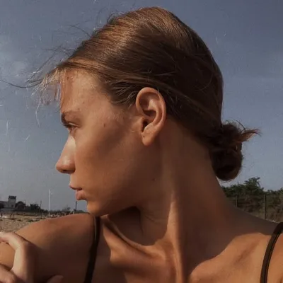 profile