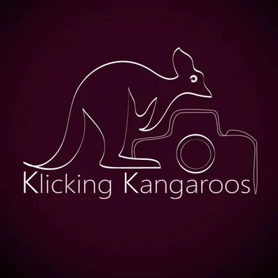 Klicking Kangaroos profile