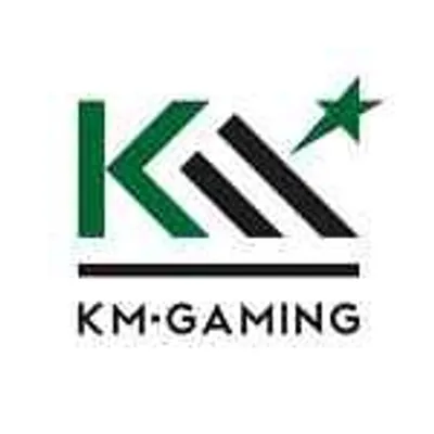 KM-Gaming profile