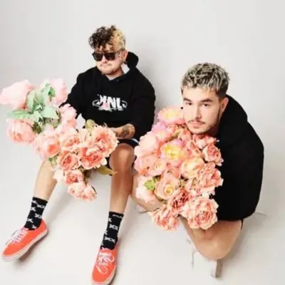 KNJ profile