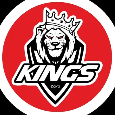 ĸιɴɢѕ oғ αѕpнαlт 🦁🇧🇷 e-Sports profile