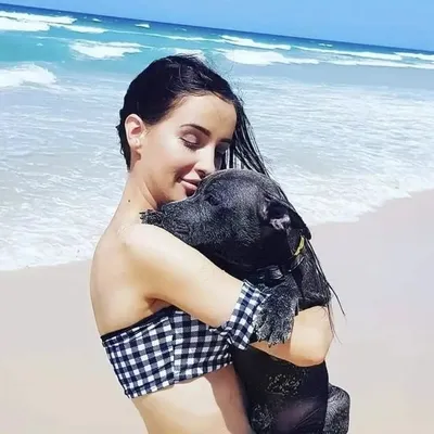 Two Staffies & A Baby ๐ถ ๐ถ ๐ถ profile