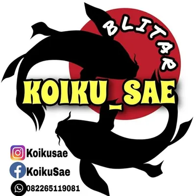 Koi ku Sae_Koiblitar profile