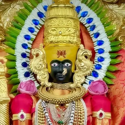 Kolhapurcha Hari profile