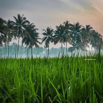 Amalapuram || Konaseema ๐ด๐ธ๐ฅ profile