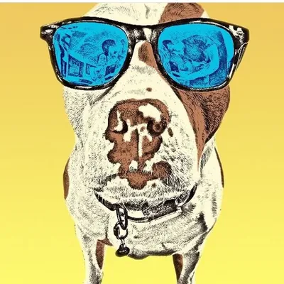 Kona The Pittie ๐ถ profile