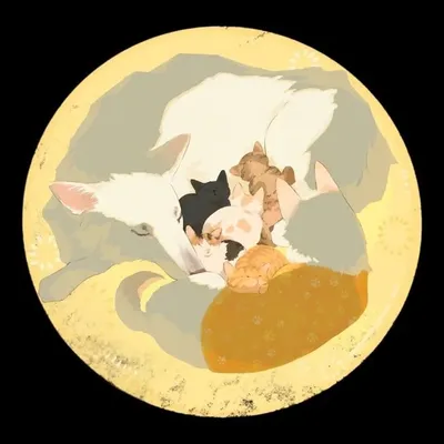 こねこそだて profile