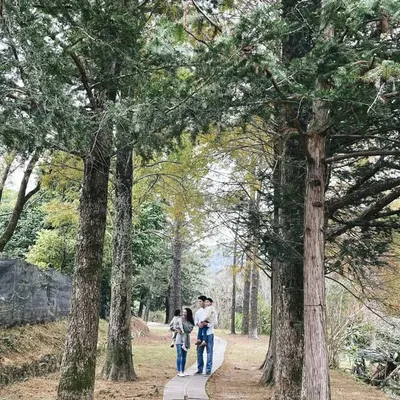 ekMaurellet 官恩娜 profile