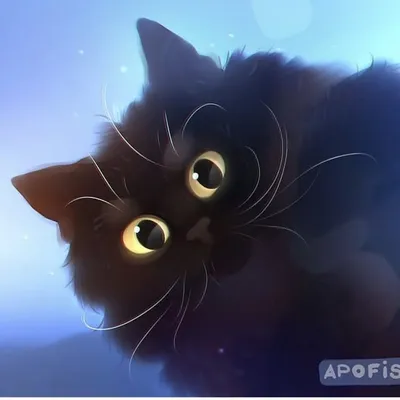 Kooty the Owl Cat profile