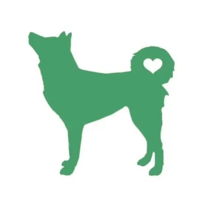 Korean K9 Rescue profile