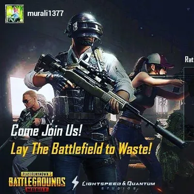 krish111333666 profile