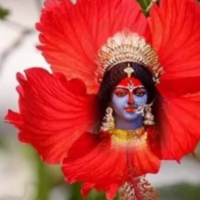 krishanu,dutta profile