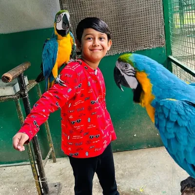 Krishiv Deshmukh profile