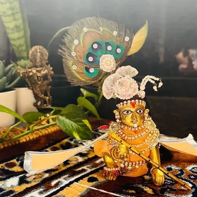 Krishna Seva 💫 profile